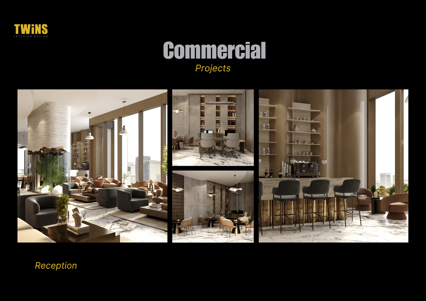 Commercial Project - Reception Area