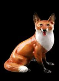 Accessory-FOX